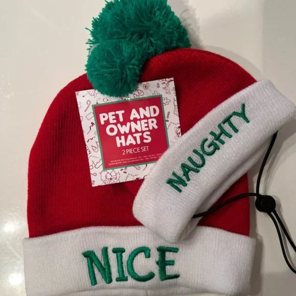 Naughty & Nice Christmas Holiday Hats – For Pet & Owner (New / Christmas Fun)